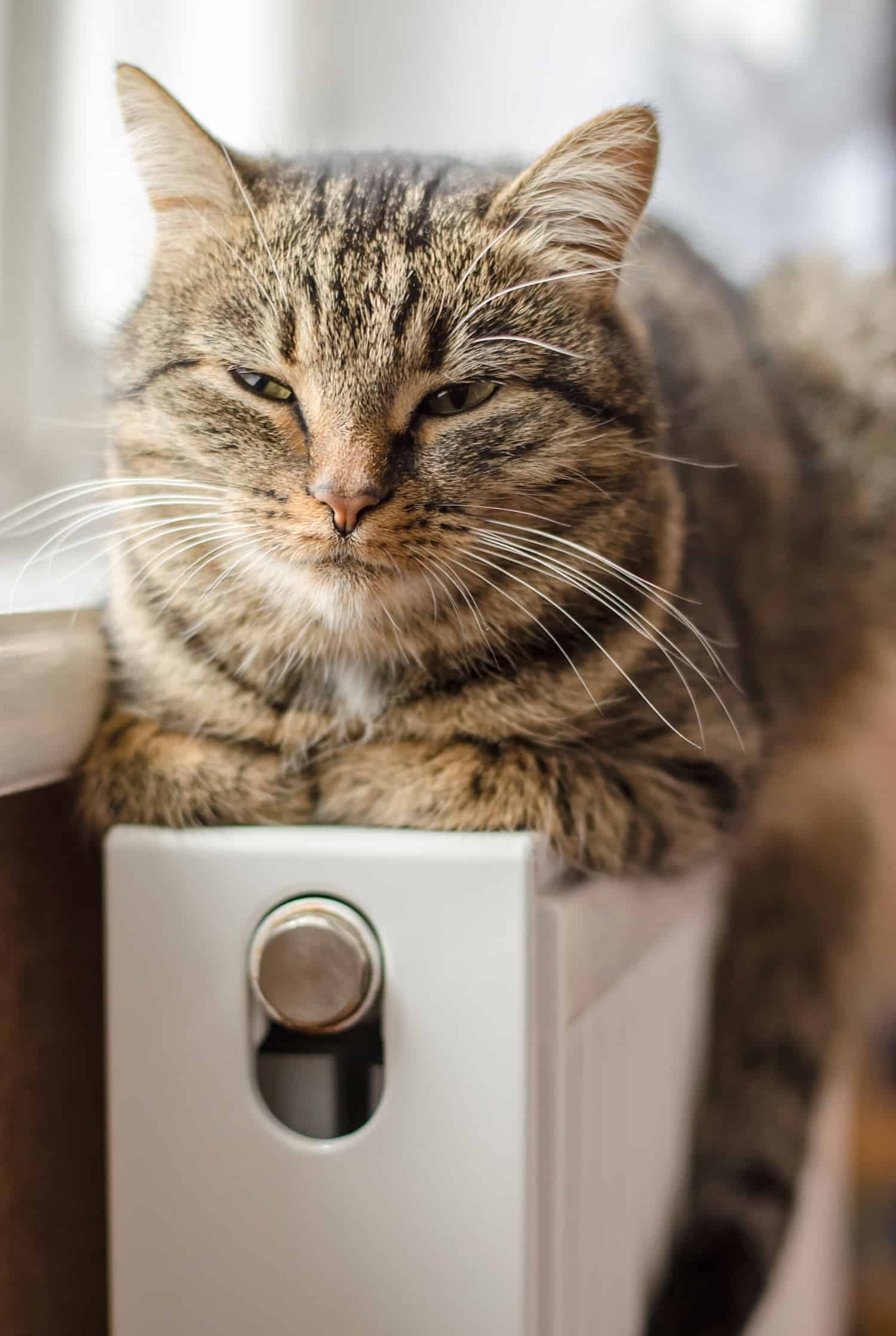 central heating installation